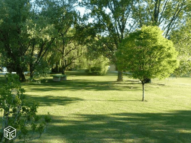 Acacia — photo 14
