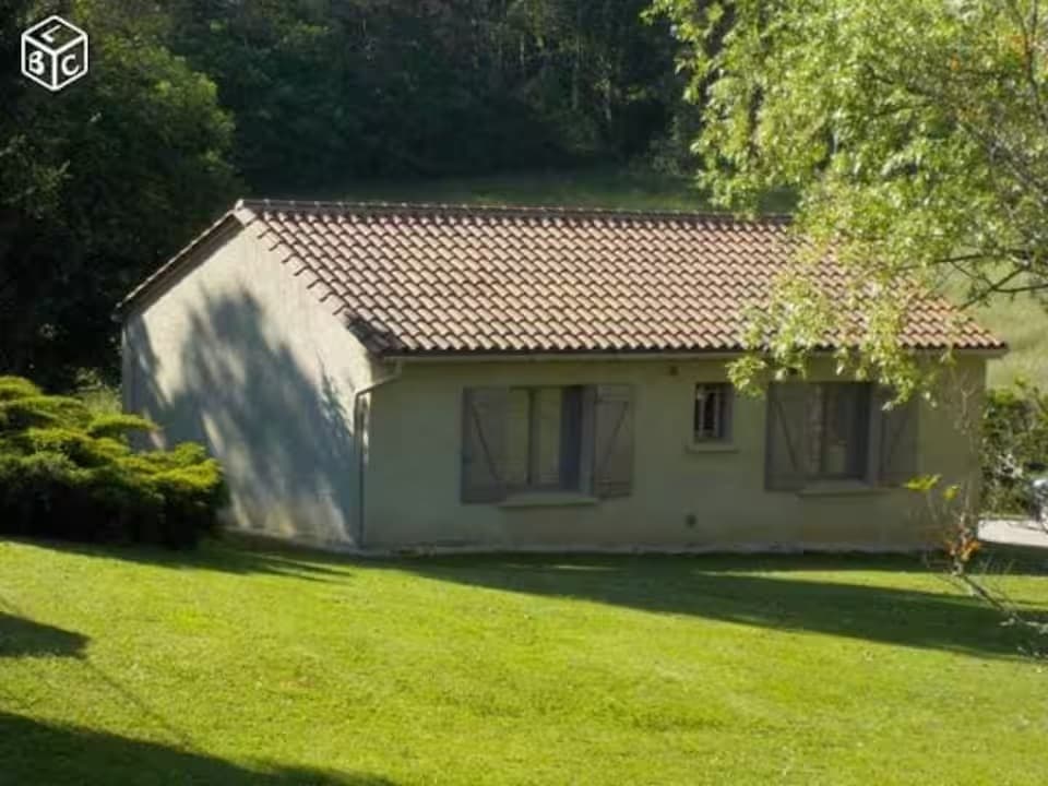 Bégonia — photo 2