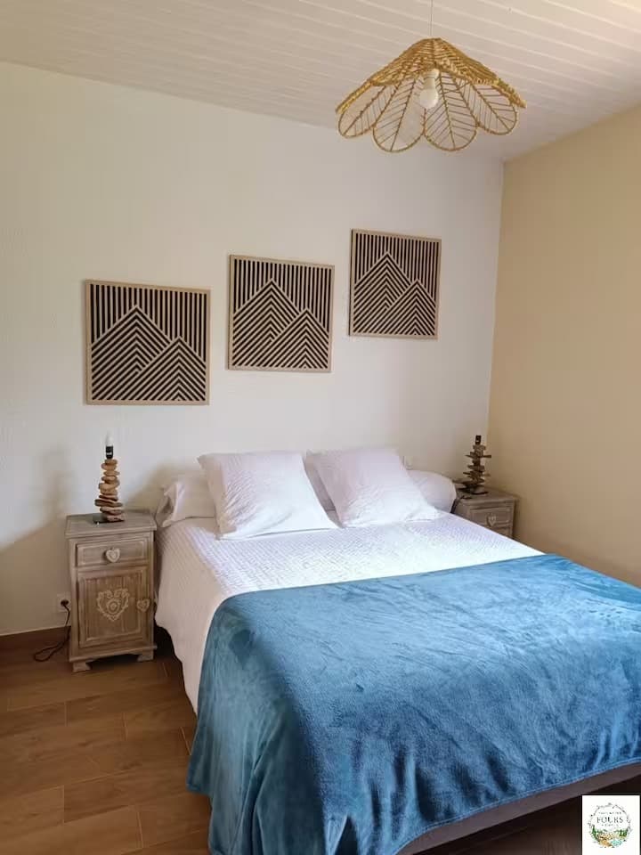 Bégonia — photo 1